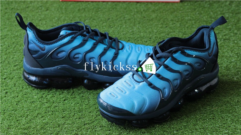 Nike Vapormax Plus Blue